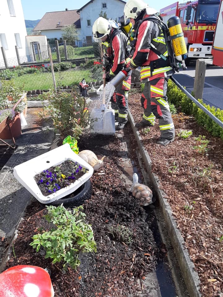 Brand Garten 2