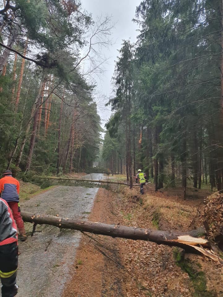 Sturm 100220 8