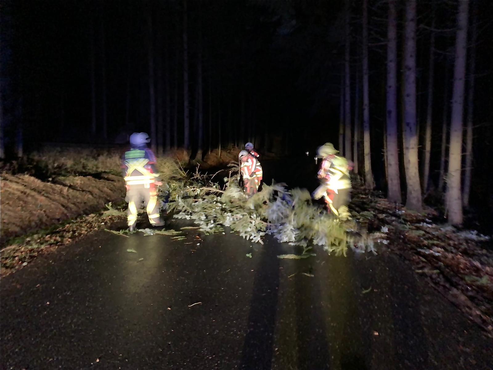 Baum auf Fahrbahn 12