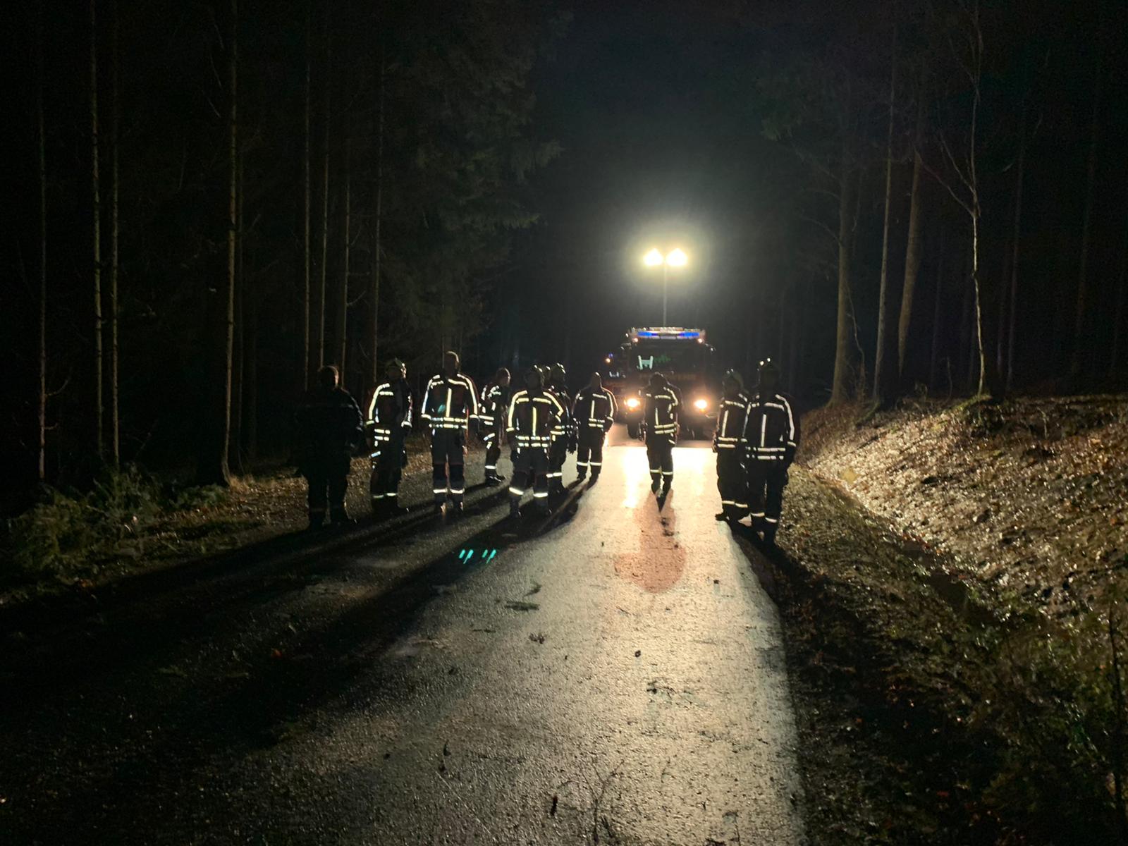 Baum auf Fahrbahn 12 1