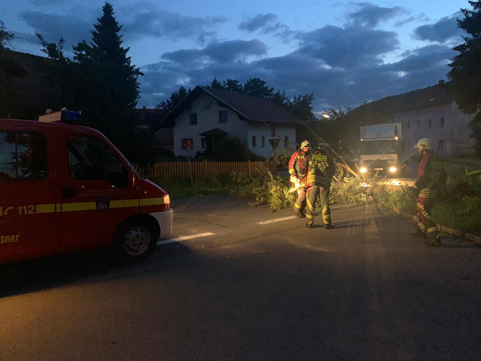 Baum auf Fahrbahn Kirchfeld 2