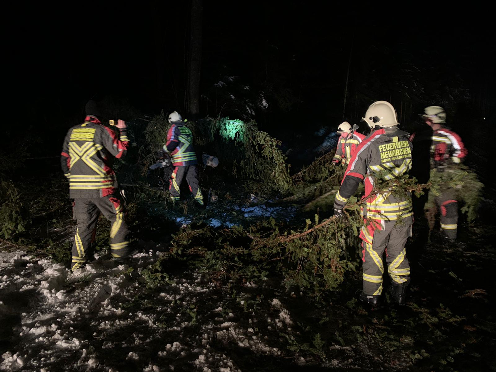 Baum auf Fahrbahn November 2