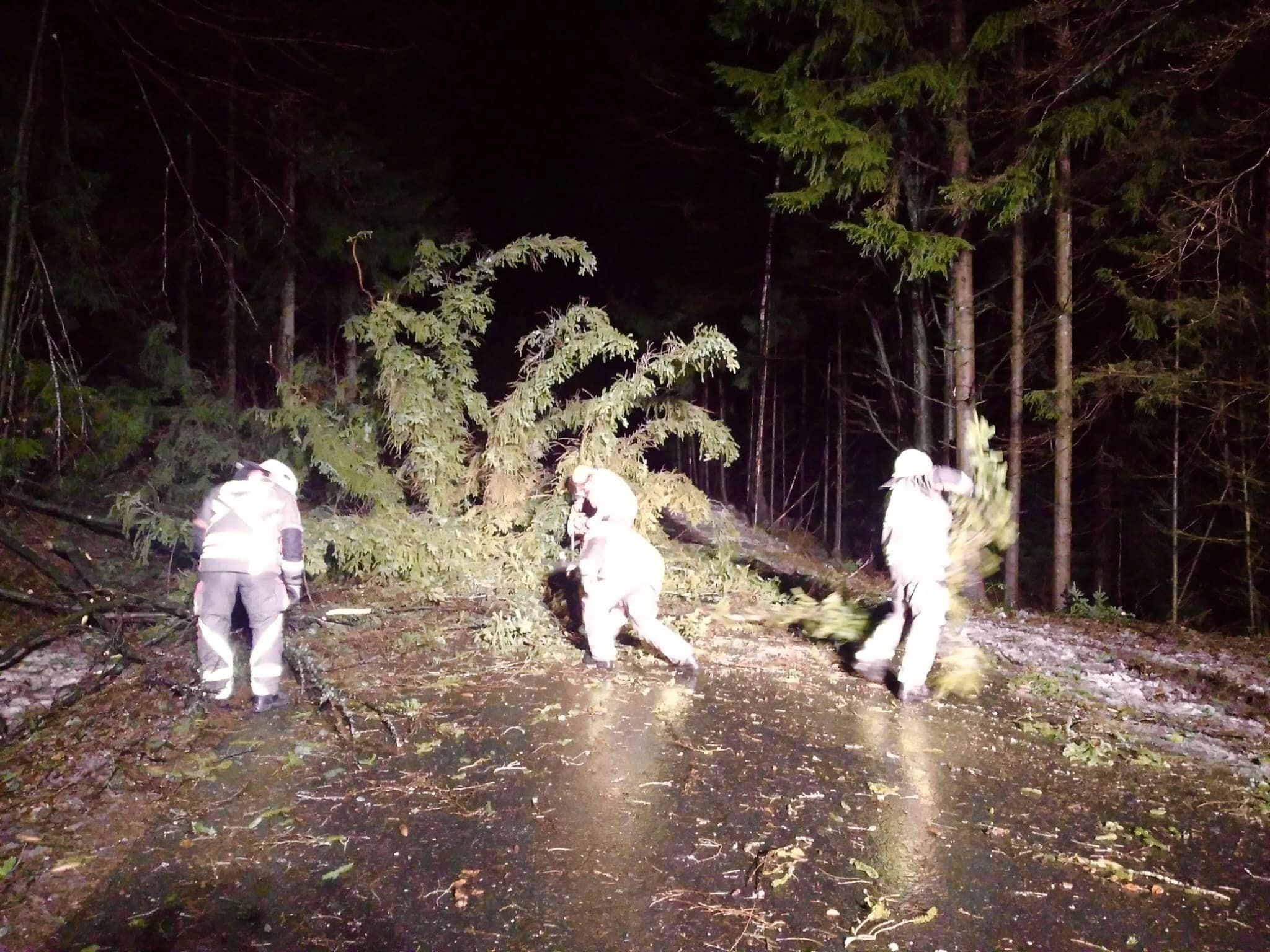 Baum auf Fahrbahn 221223 1