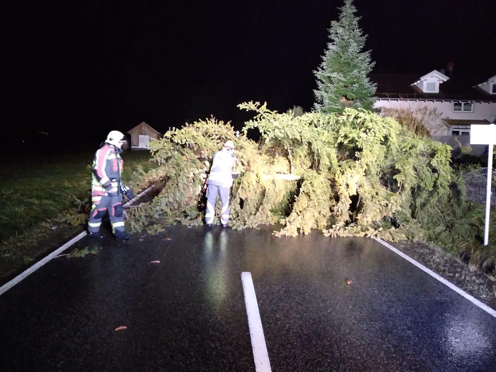 Baum auf Fahrbahn 221223 2