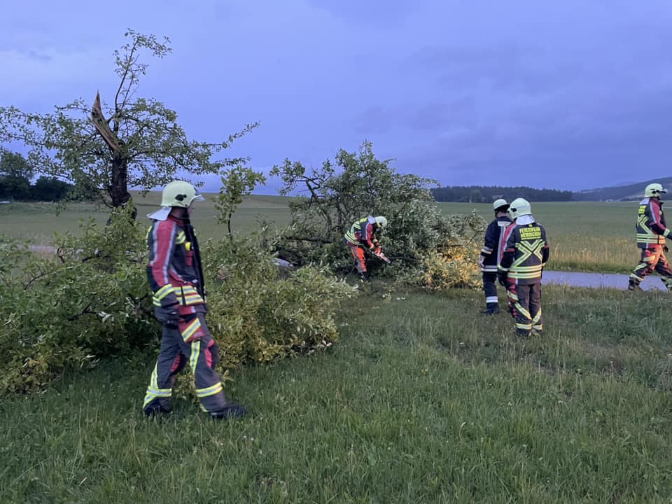 Baum auf Fahrbahn Juli 2