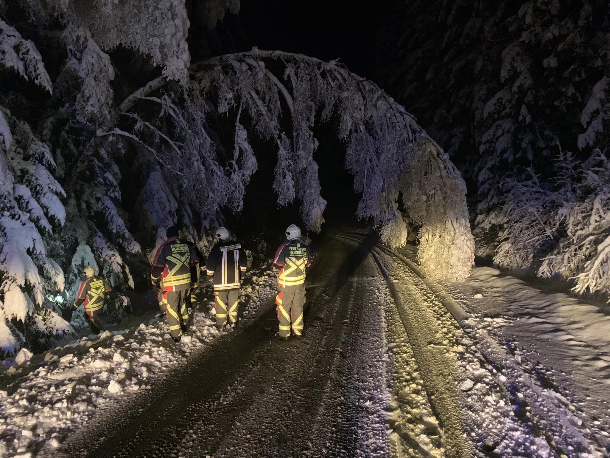 Bume auf Fahrbahn 030223 1