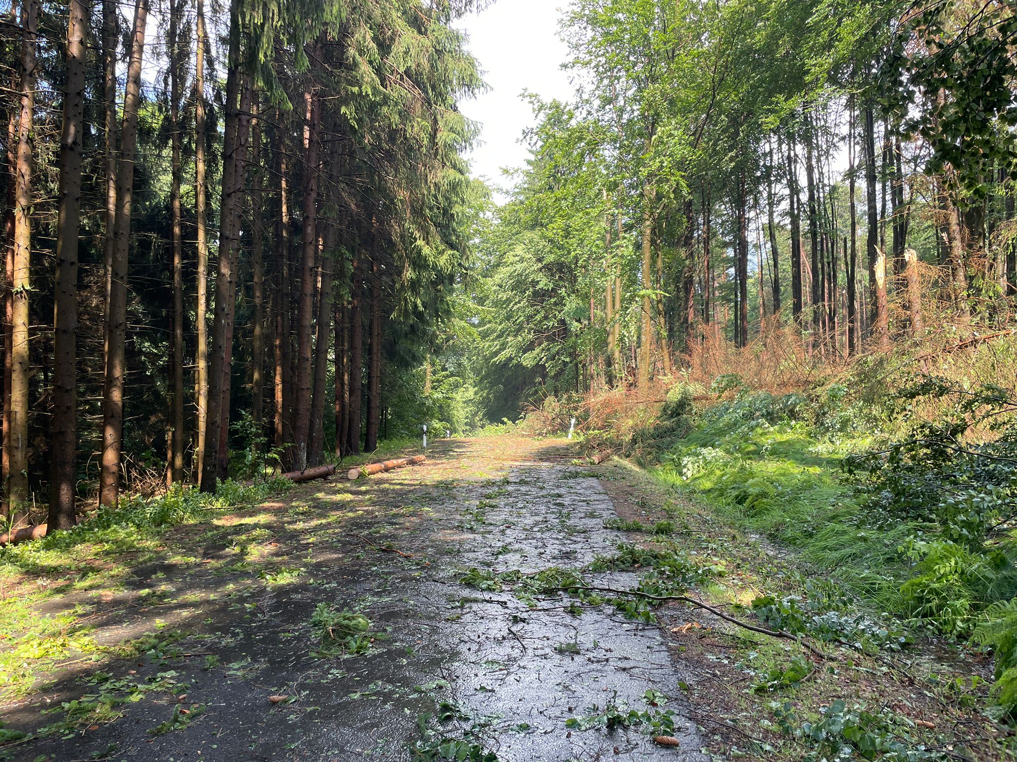 Unwetter Juni 5