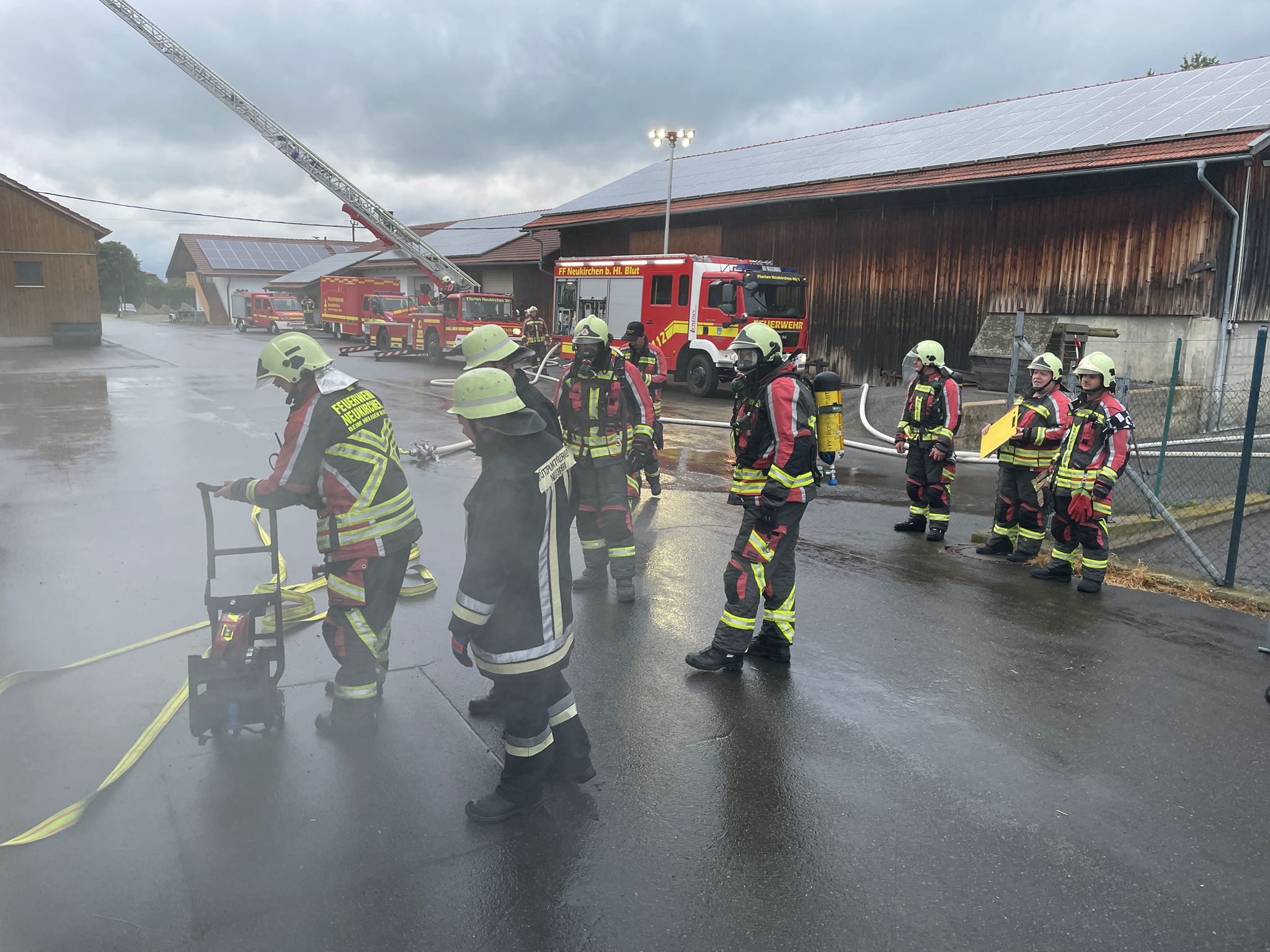 bung Brand Mai 6